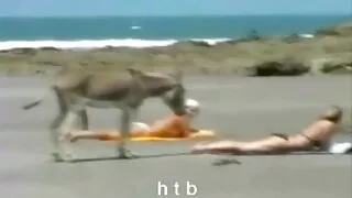 Busty Le scopata